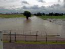 Hochwasserrückhaltebecken bei Horchheim